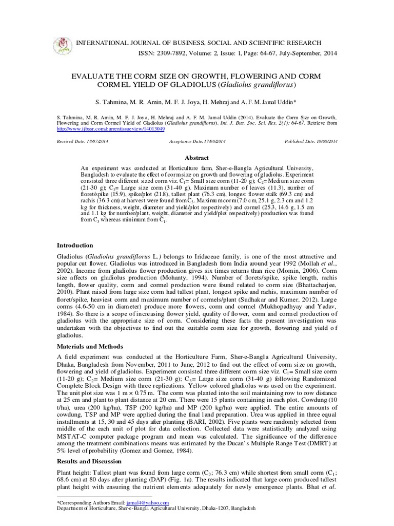Evaluate The Corm Size On Growth Flowering And Corm Cormel Yield Of Gladiolus Gladiolus Grandiflorus Yield Wine Mean