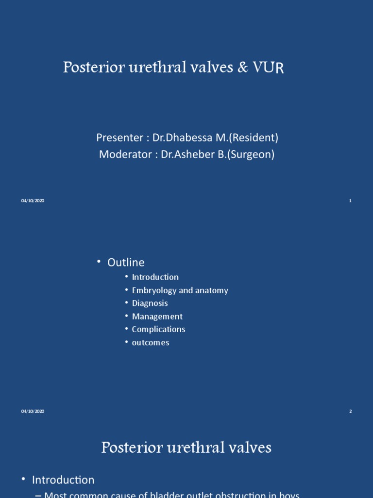 Posterior Urethral Valves and VUR PDF Genitourinary System Animal