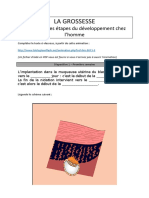 La Grossesse PDF