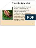 Floral Formulas and Floral Diagrams 