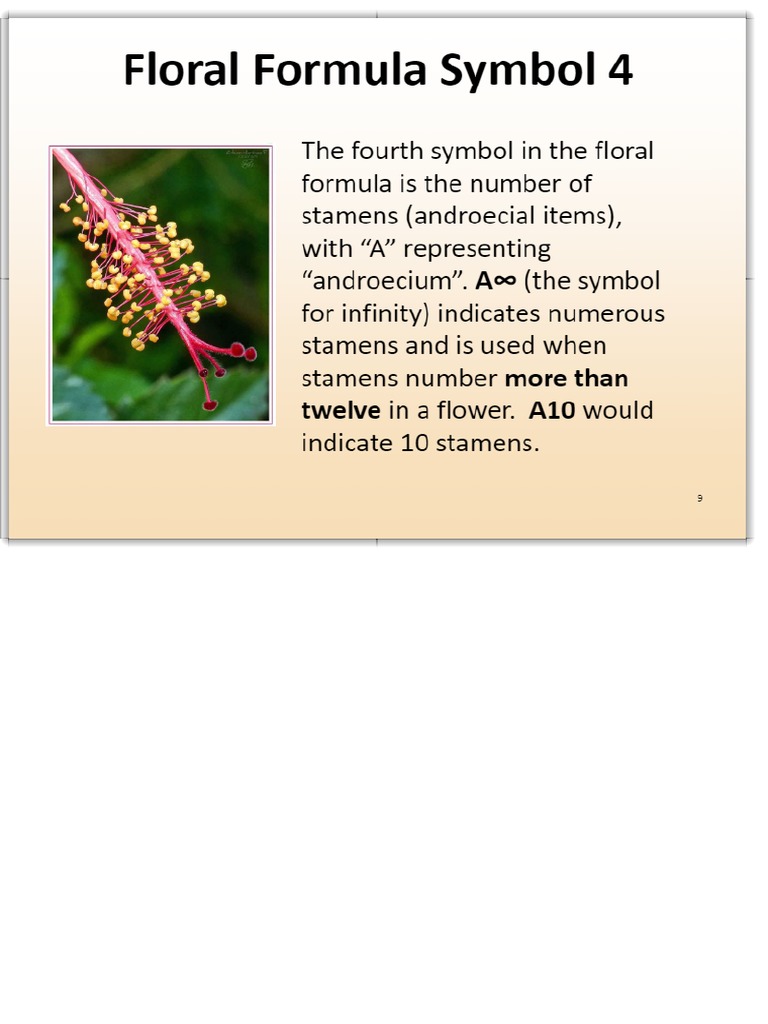 Floral Formulas and Floral Diagrams PDF