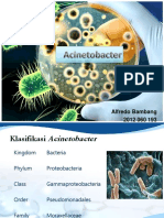 acinetobacter-alfredo2012060193-131125045920-phpapp02.pdf