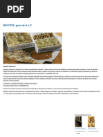 BROTOS_ guia de A a Z