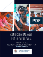 Currículo emergencia 2020.pdf