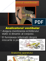 Analizatorul Vestibular