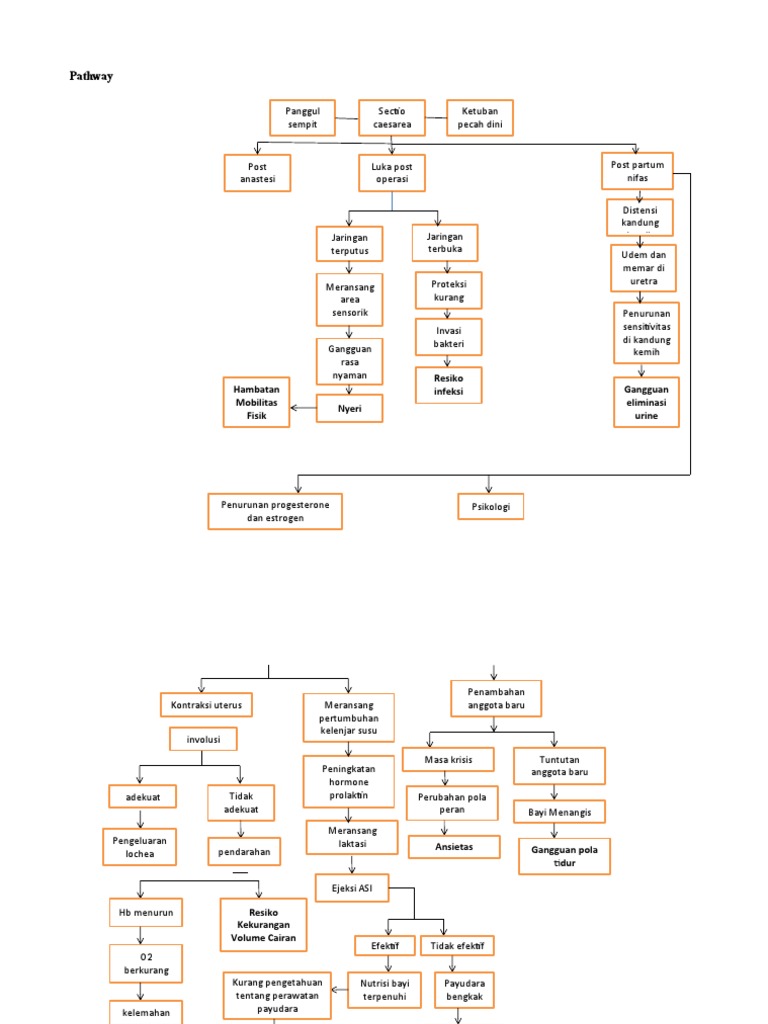 Pathway Perawatan Pasca Sectio Caesarea | PDF