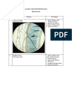 Pengamatan Histologi Sistem Respirasi