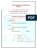 Examen Parcial de Laboratorio PDF