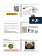 9.1 Transporte en El Xilema de Las Plantas PDF