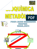 Presentacion Metabolismo Y Dieta PPT UNAD