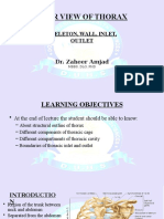 GROSS Overview of Thorax