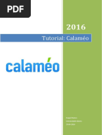 Calaméo