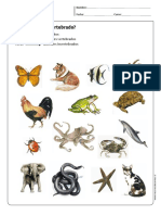 Vertebrado o Invertebrado PDF