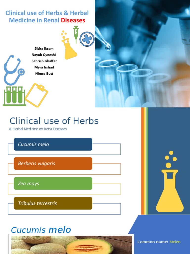 Clinical Use Of Herbs Herbal Medicine In Pdf Kidney Flavonoid