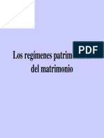 Regimenes Patrimoniales Del Matrimonio PDF