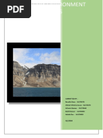 Sedimentary Facies and Environment