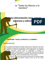 Programa de Manos A La Siembra 120718213252 Phpapp01 PDF