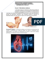 Diferencia Entre Pulso y Frecuencia Cardiaca