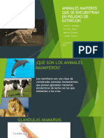 Animales Mamiferos