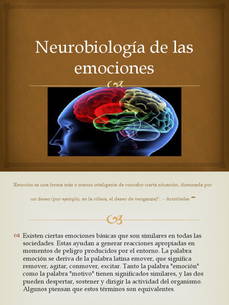 Neurobiología de las emociones básicas | PDF | Ira | Las emociones