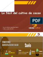 Cacao Facil ESAN - Uncp