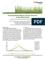 Grazing Native Warm-Season Grasses