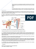 Formação Da Urina