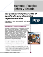Jose L. Lopez. Los pueblos indigenas ante el desafio de las autonomias departamentales..pdf