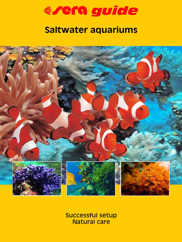 Saltwater Aquariums: Successful Setup Natural Care | PDF | Aquarium ...