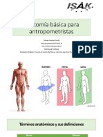 Anatomía Básica para Antropometristas