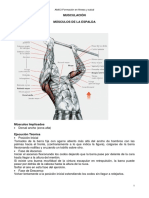 muscul2.pdf