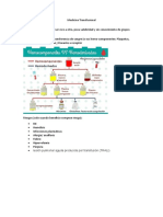 Medicina Transfusional