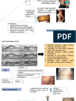 Inspeccion Abdomen