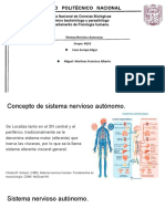 Sna Mmfa PDF