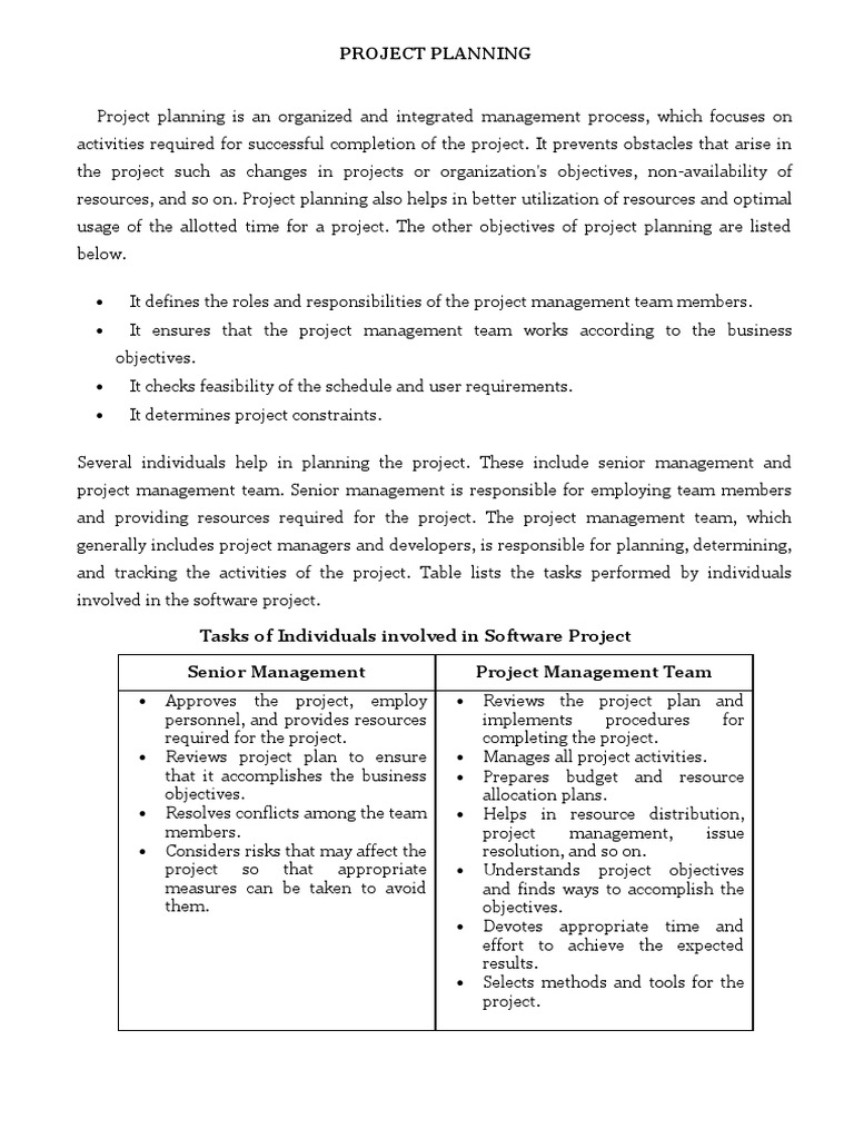 Project Planning | PDF | Project Management | Risk