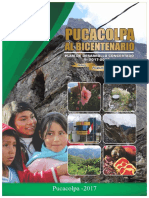 361348232-PLAN-DE-DESARROLLO-CONCERTADO-DEL-DISTRITO-DE-PUCACOLPA