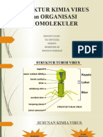 Tugas Biologi Molekuler Tia Mutiara Terbaru