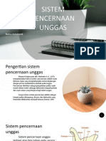 Sistem Pencernaan Unggas