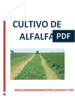 Cultivo de alfalfa: Requisitos y manejo