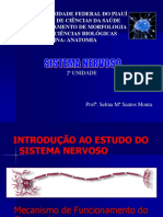 Sistema Nervoso