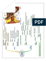 mm_anatomia_orelha.pdf