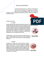 CELULAS SANGUINEAS.pdf