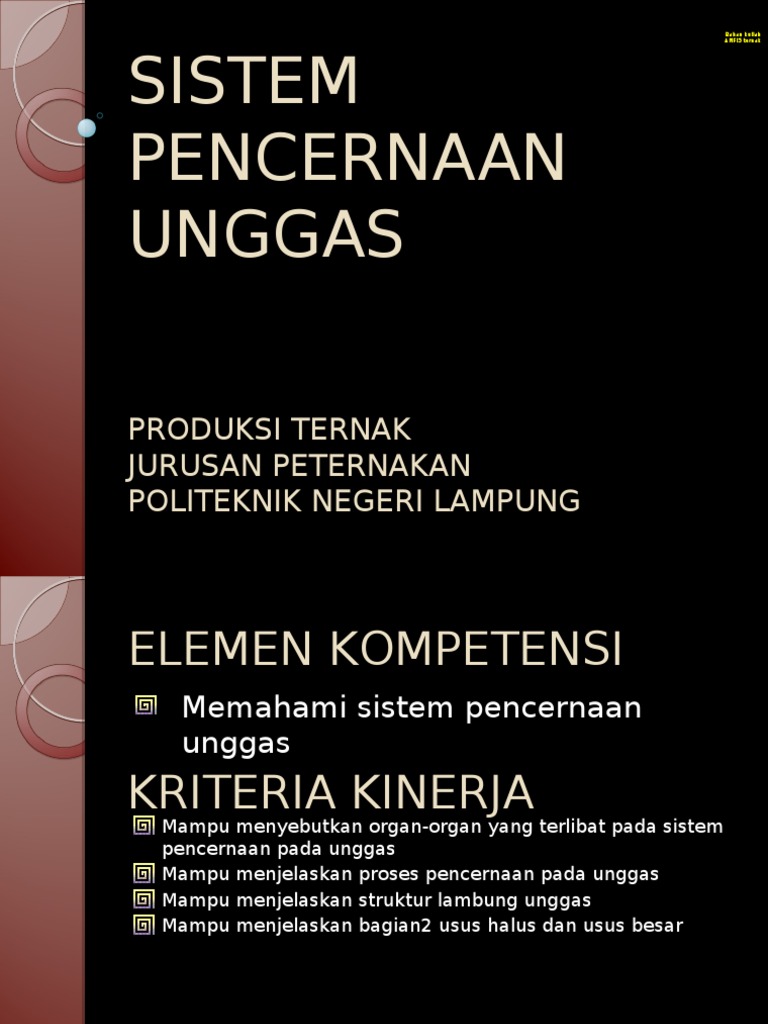 96 Gambar Sistem Pencernaan Unggas Gratis