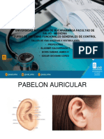 Imagenes Taller-Sistema Auditivo y vestibular-Practica-web-202010-SFGC