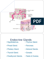 Anatomy of Glands.ppt