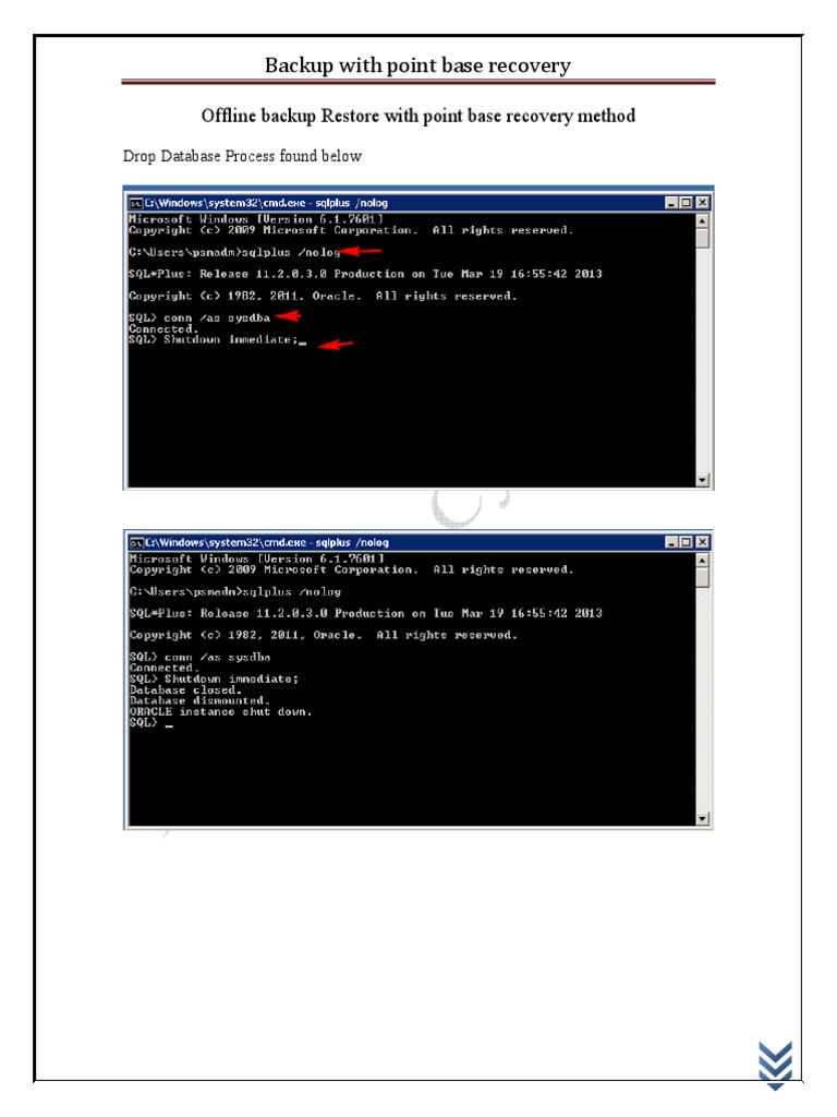 Oracle Database Recovery Guide | PDF