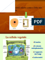 2) La Cellula Vegetale