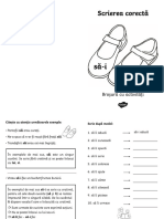 LC 380 Scrierea Corecta Sai Sa I Brosura Cu Activitati PDF