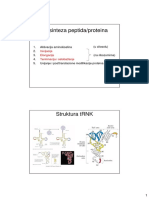 17.biosinteza Proteina - 2019