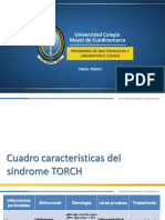 Cuadro Diferencias TORCH PDF